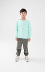 T-shirt enfant Sonoma, GLACIAL VINTAGE, hi-res-model