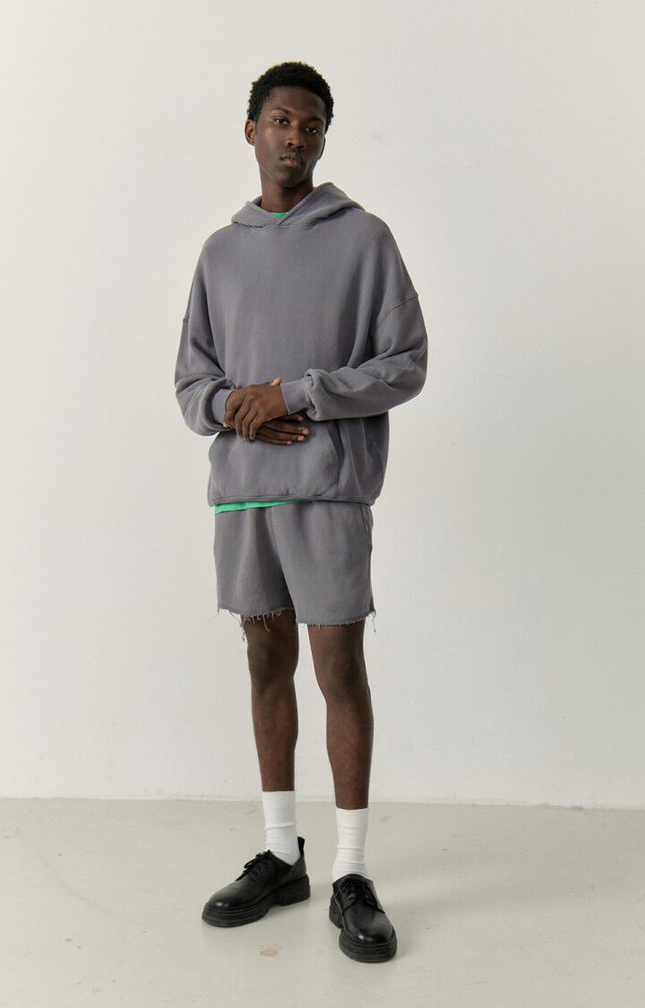 Men's hoodie Izubird - VINTAGE SLATE 54 Long sleeve Grey - E23 