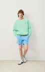 Sweat homme Izubird, VERT D EAU VINTAGE, hi-res-model