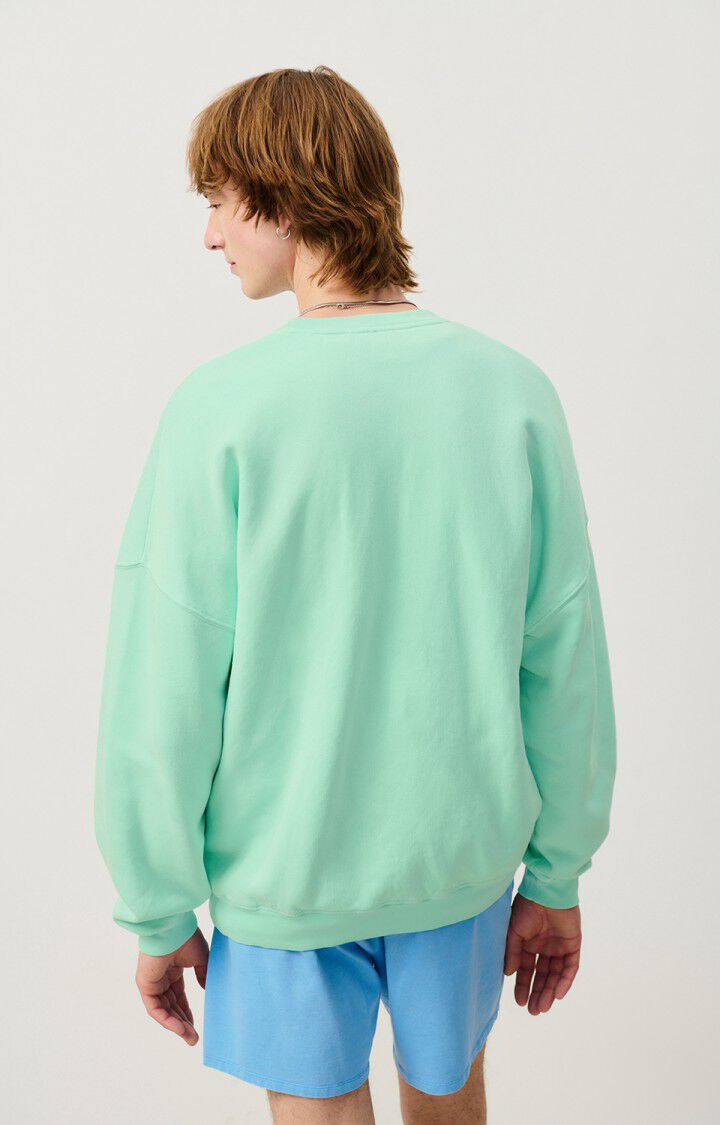 Men's sweatshirt Izubird